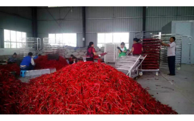 2021貴州辣椒加工產(chǎn)值150億元以上，空氣源熱泵烘干迎來爆發(fā)機(jī)遇